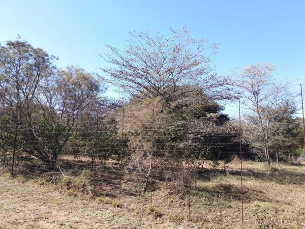 1.1 ha Land