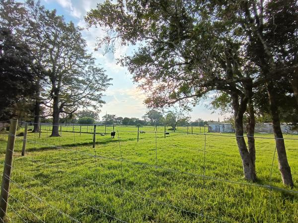 9.4 ha Land
