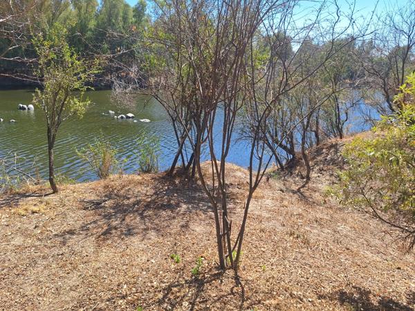 2 136 m² Land