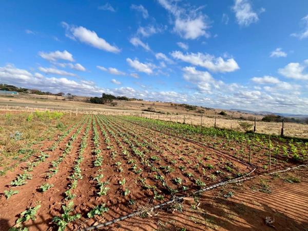4.3 ha Farm
