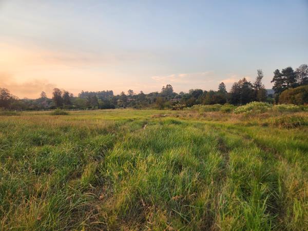 1 ha Land