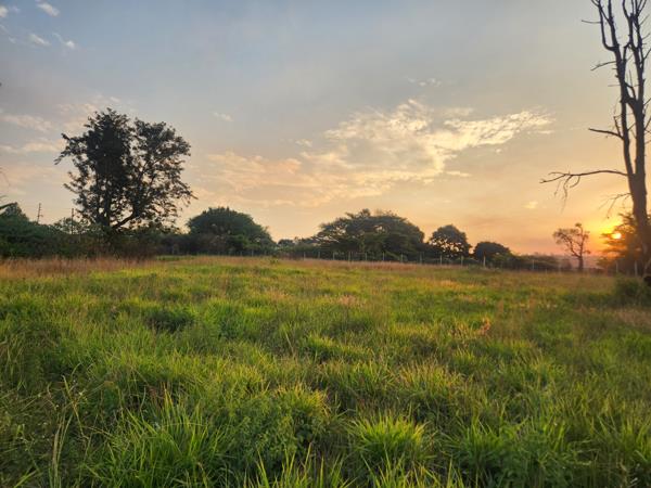 8 767 m² Land