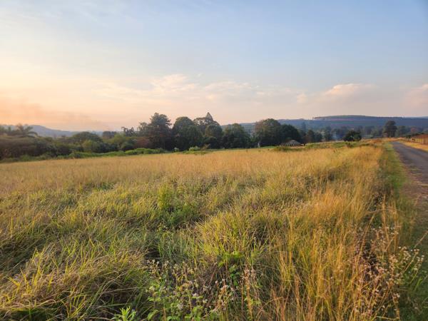 1 ha Land
