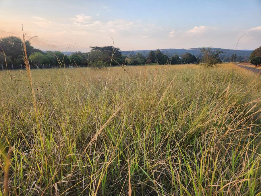 9 936 m² Land