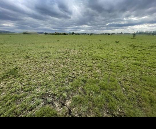 10 ha Farm