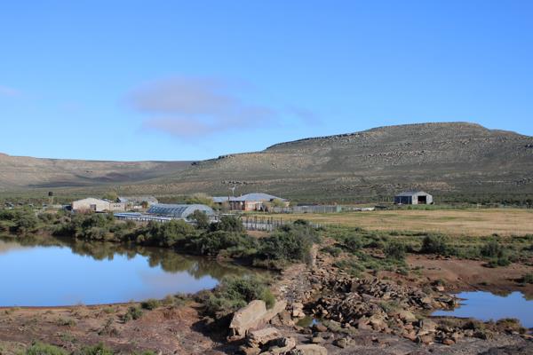3 372 ha Farm