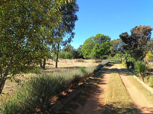 4 464 ha Land