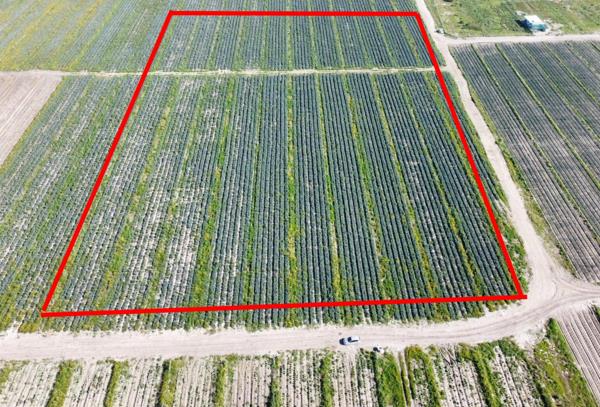 1.8 ha Land