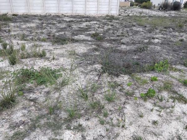 225 m² Land