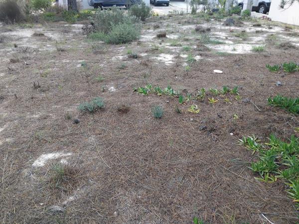267 m² Land