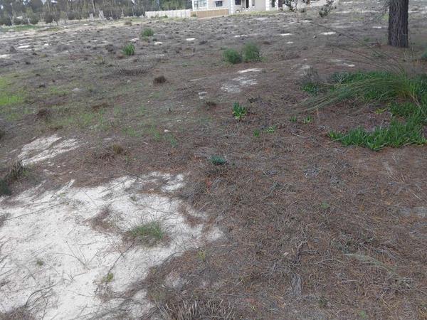 450 m² Land