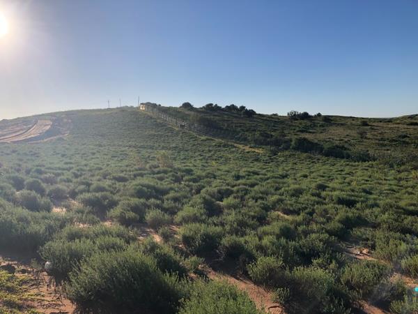 1 672 m² Land