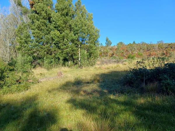 23 ha Land