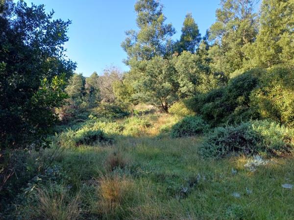 23 ha Land