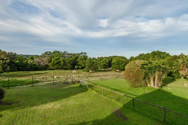 4 ha Farm
