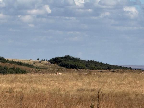 22.3 ha Land