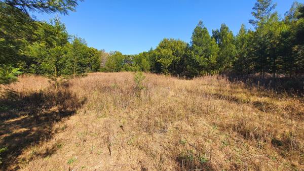 1 ha Land