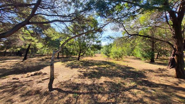 1 ha Land