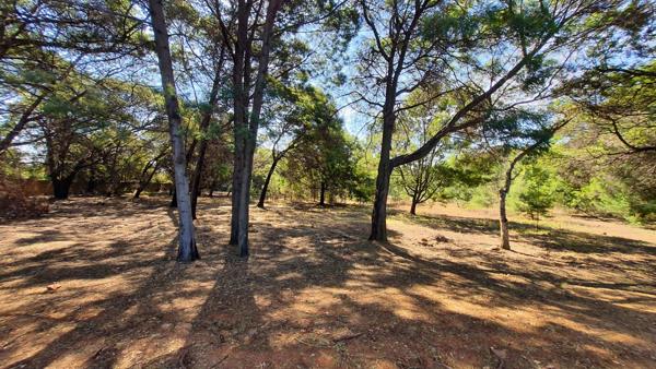 1 ha Land