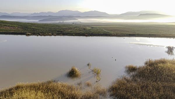 500 ha Farm