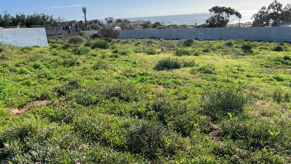 295 m² Land