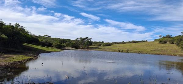 13.2 ha Farm