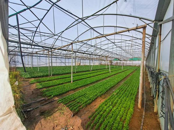 1.8 ha Farm