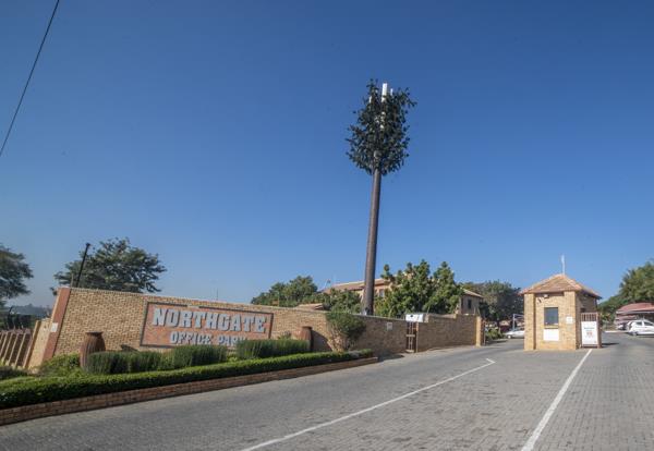 58 m² Office Space