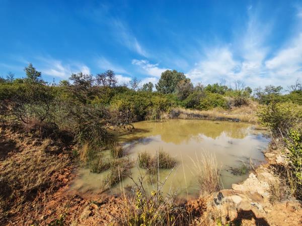 12 ha Land
