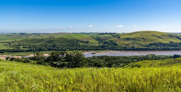 1.5 ha Land