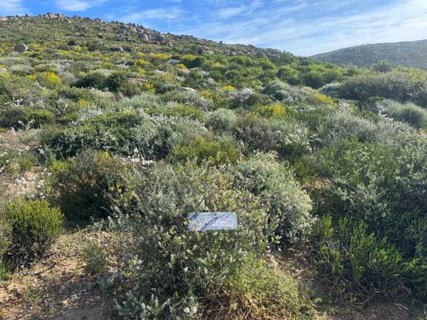 366 m² Land