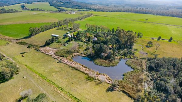 149 ha Farm