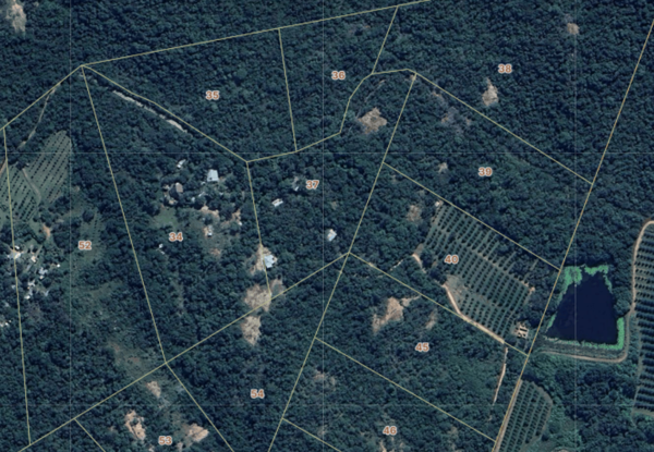 2.2 ha Agricultural Holding