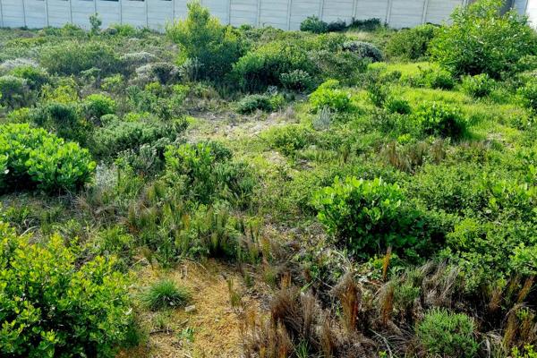 616 m² Land