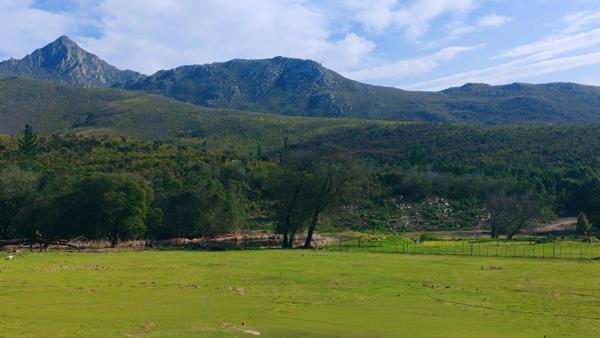 81 ha Farm