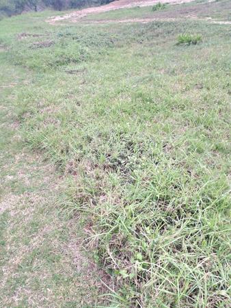 1 034 m² Land