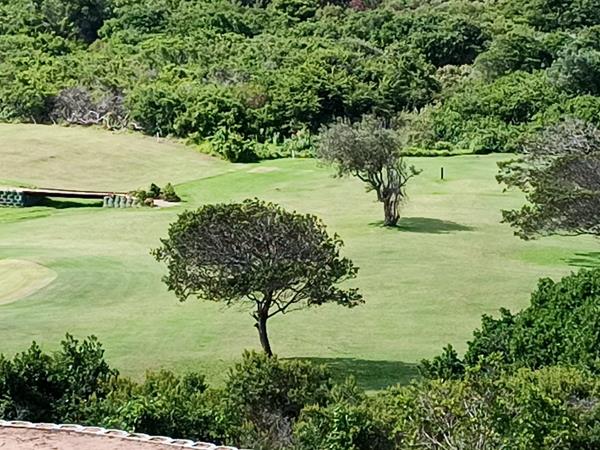 713 m² Land