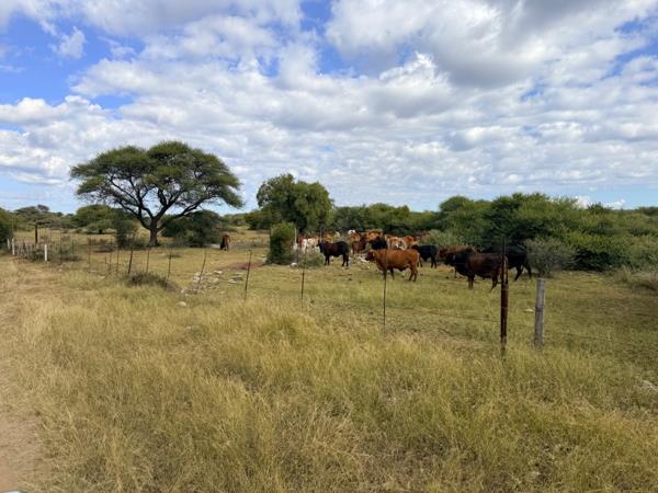 2 433 ha Farm