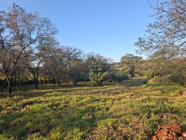 9 000 m² Land