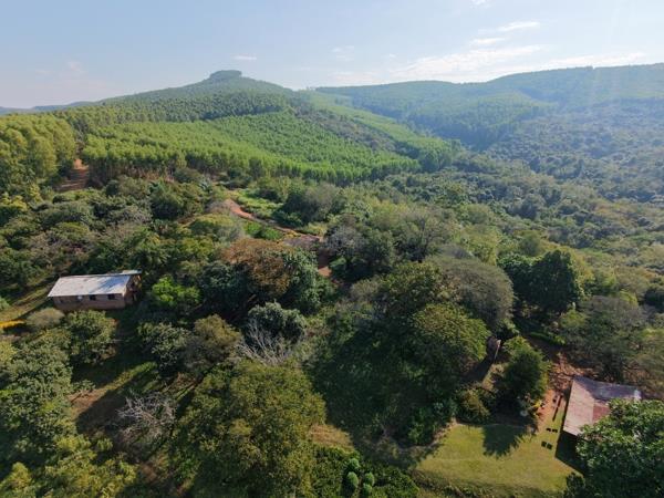 389.7 ha Commercial Farm