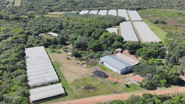 12 ha Commercial Farm