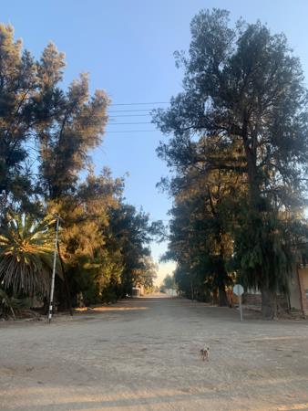 1 269 m² Land