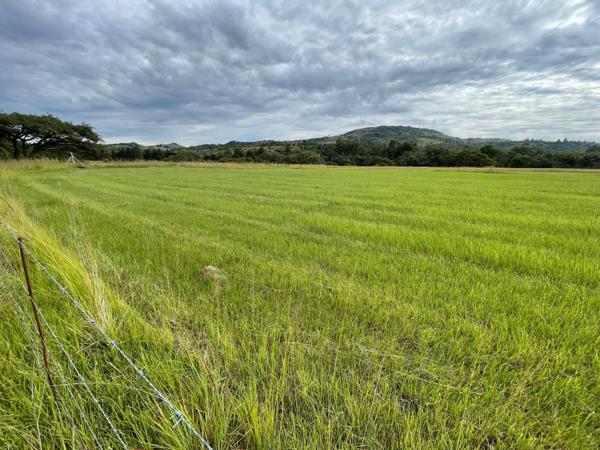 2.5 ha Land