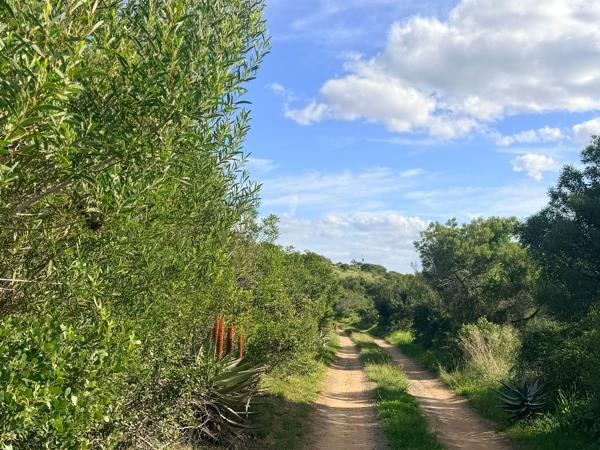 3.8 ha Agricultural Holding