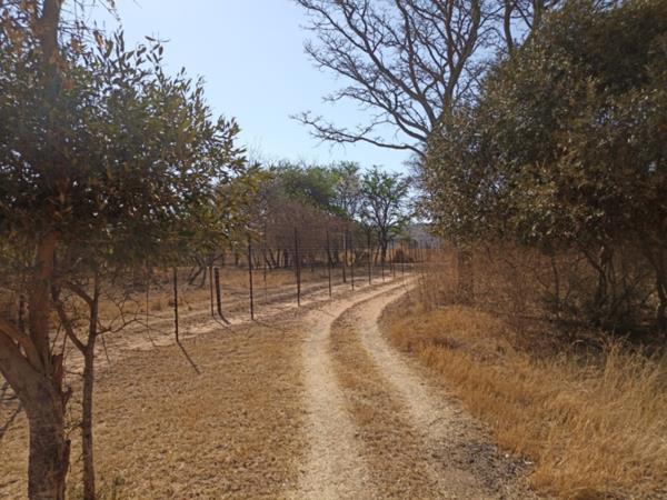 24.5 ha Smallholding