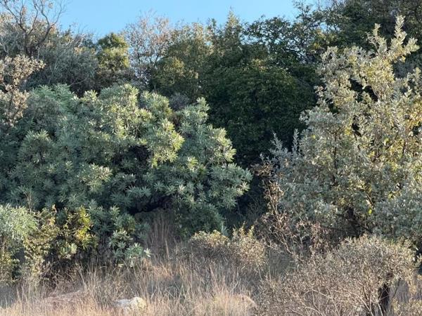 659 m² Land
