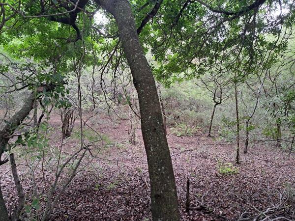 1 814 m² Land