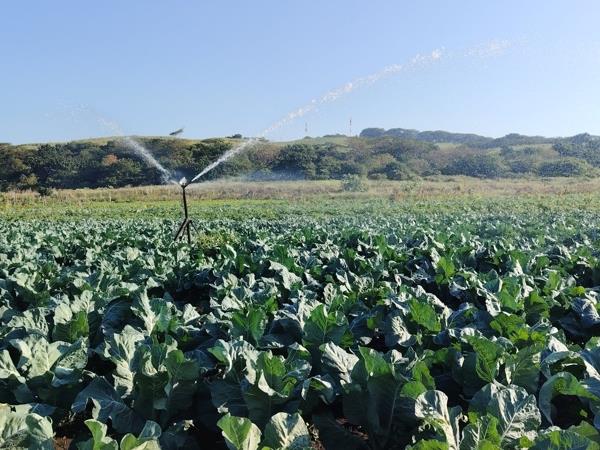 18 ha Farm