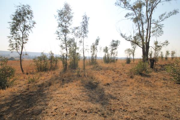 4 ha Land
