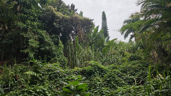 2 154 m² Land